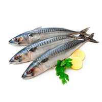 Seafood Nutrition